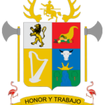 alcaldia desanmartin