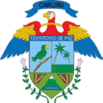 alcaldia municipal caruru png